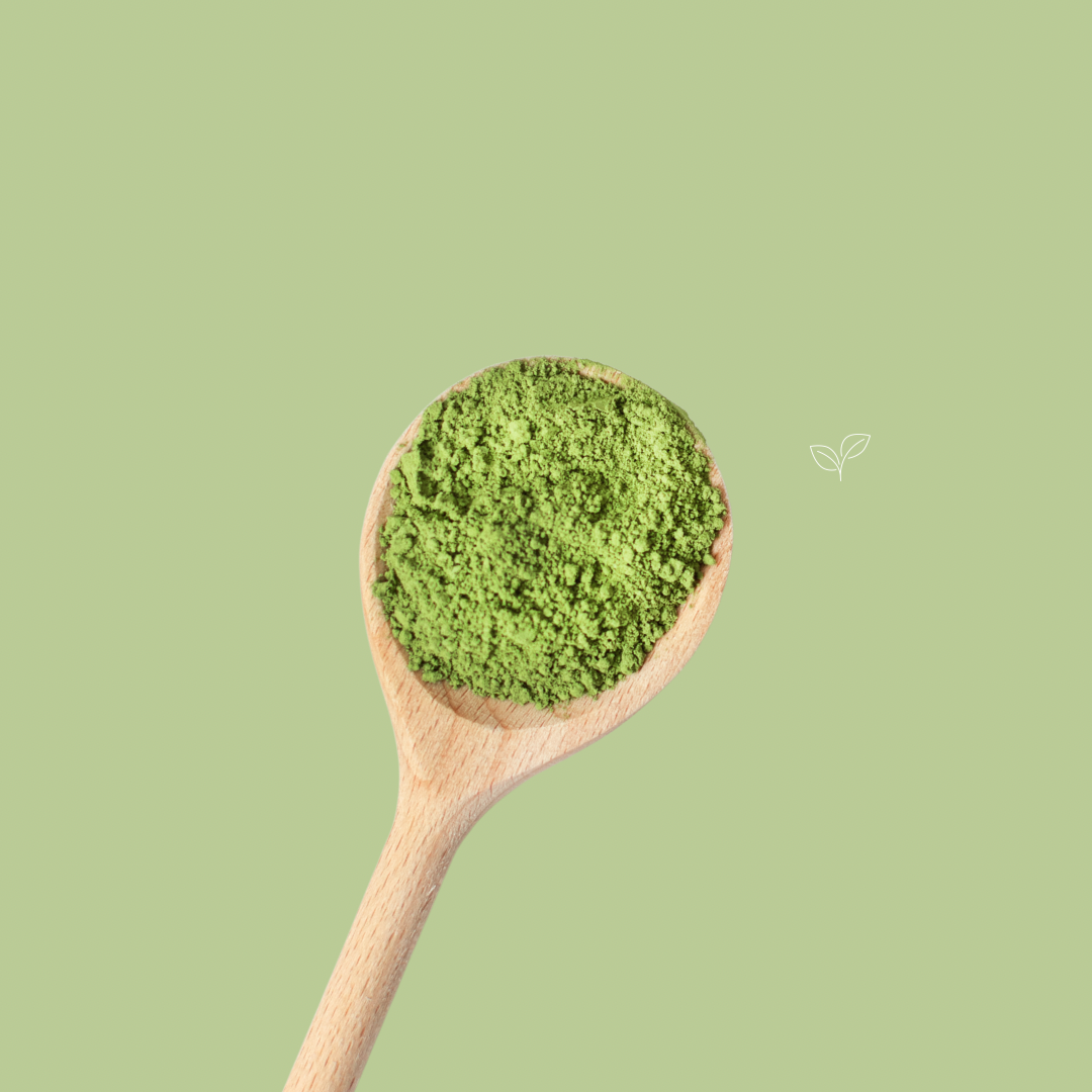 Poudre Matcha